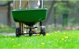 Fertilize The Lawn In Safety