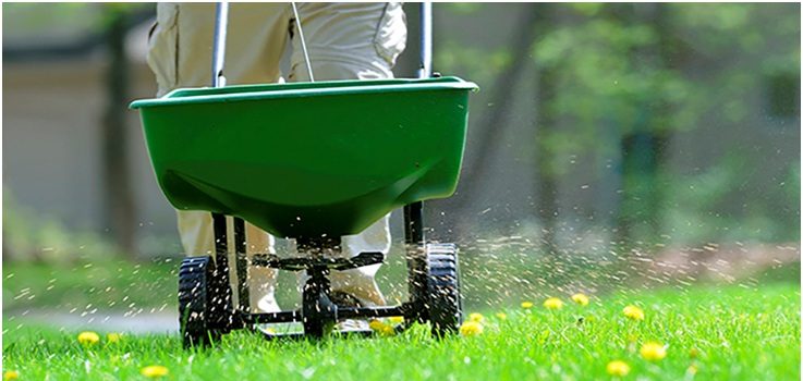 Fertilize The Lawn In Safety