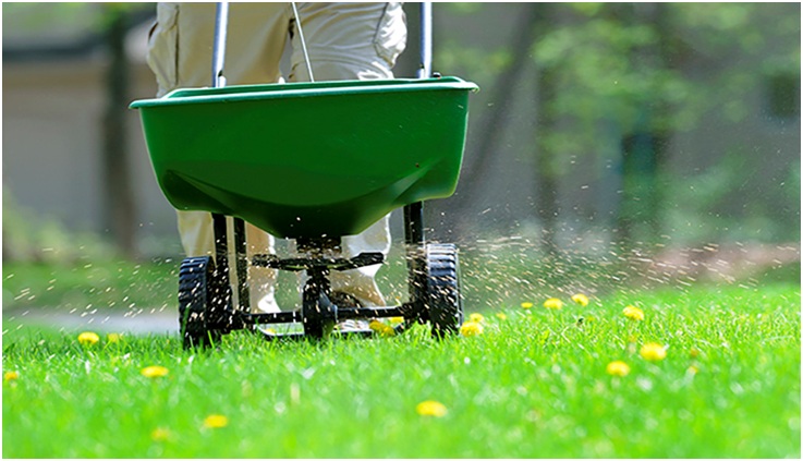Fertilize The Lawn In Safety