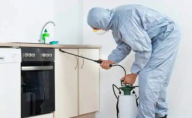 Pest Control Company