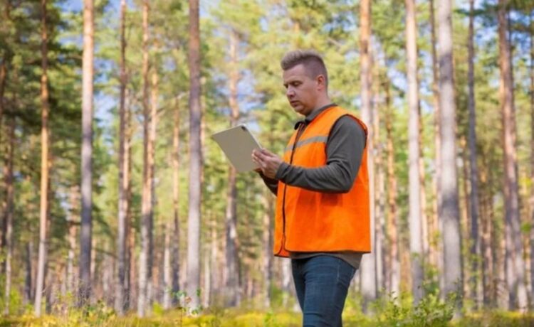 Tree Management